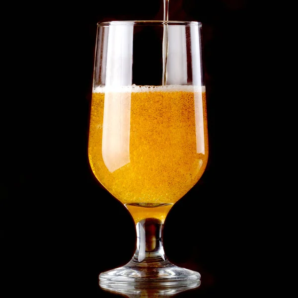 Glass of beer — Stock Photo, Image