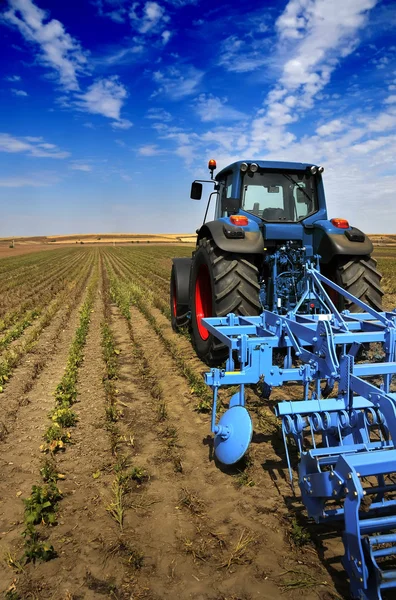 De trekker - moderne landbouwmachines in veld — Stockfoto