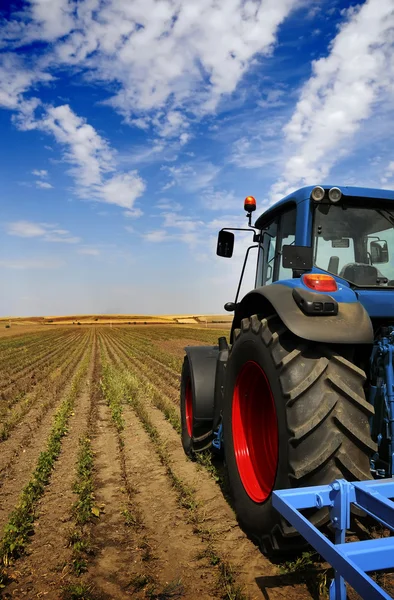 O trator - equipamento de fazenda moderno no campo — Fotografia de Stock