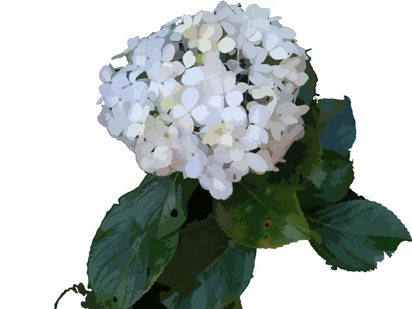 vector illustration of a bunch of beautiful white flowers