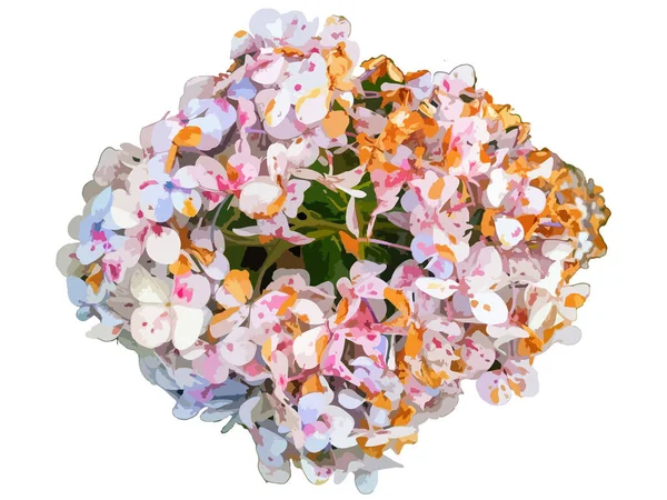 illustration of a beautiful bunch of white flowers in the garden