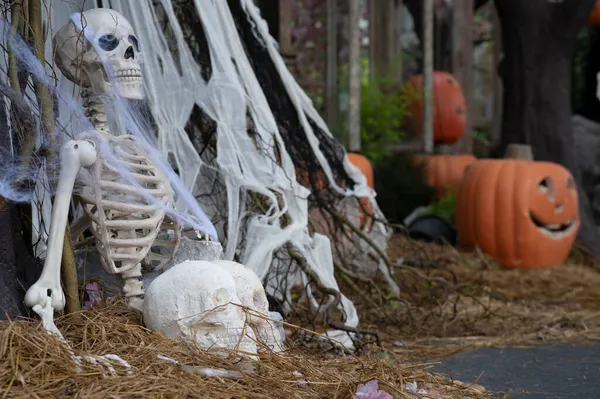 Emberi Csontváz Halloween Tök Földön Stock Kép