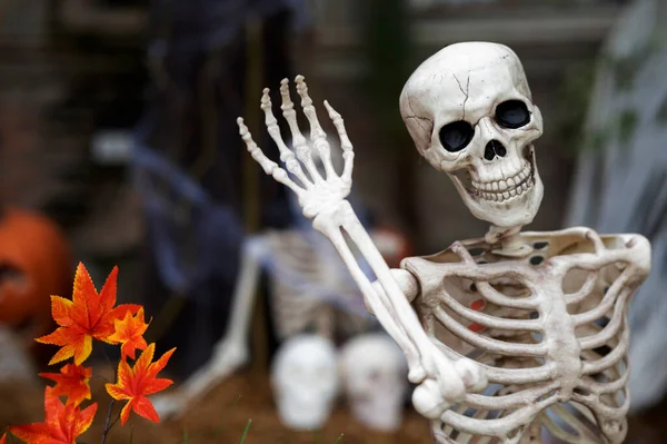 Halloween Med Pumpa Och Skelett Koncept Bakgrunden — Stockfoto