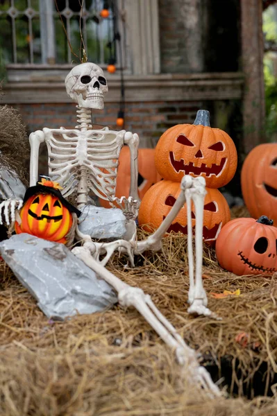 Kopya alanı üzerinde kabak konsepti olan seramik kafatası.