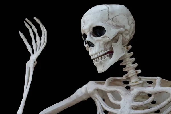 Απόκριες Ανθρώπινο Σκελετό Αντίγραφο Χώρου Μαύρο Φόντο — Φωτογραφία Αρχείου