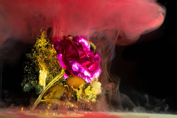 Rosa Vermelha Artificial Com Aquarela Mista Conceito Arte Fundo Preto — Fotografia de Stock