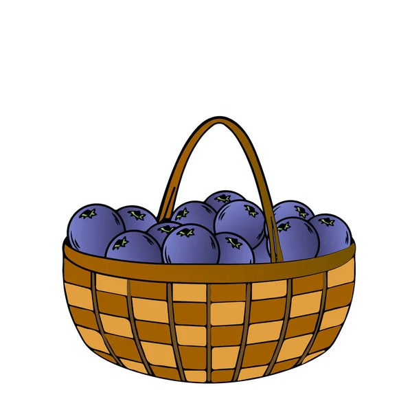 Basket Berries Blueberry Delicious Wild Berries — Stockový vektor