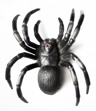 Örümcek
