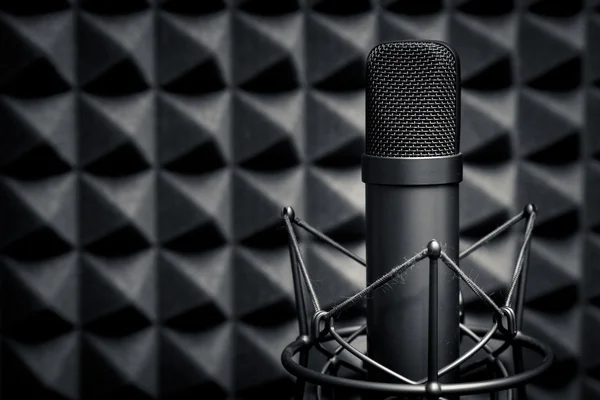 Studio microphone, recording studio.