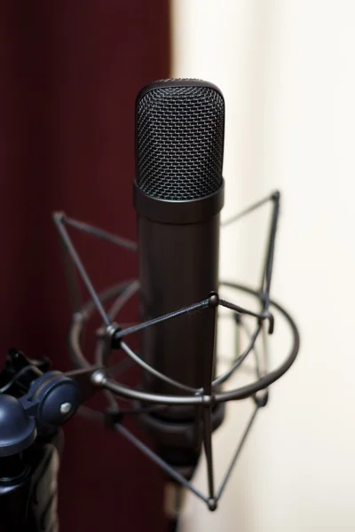 Studio microphone, recording studio.