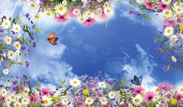 花と蝶と空 — ストック写真