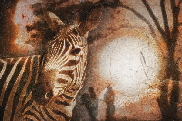 Zebra vintage