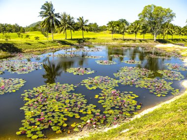 Açıklama: güzel göl manzaralı golf sahası yakınında pattaya, chonburi 28 Aralık 2010 tarihinde ortasında.