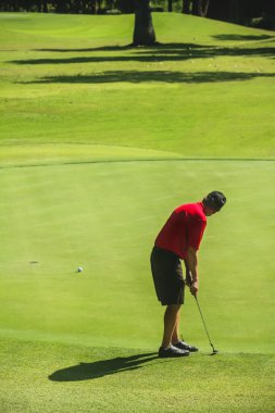 Orta yaşlı erkek golfçü yeşil koyarak