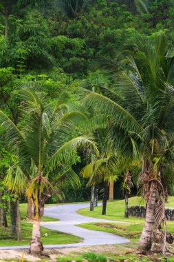 Doğa Manzaralı golf sahası yakınında pattaya Tayland