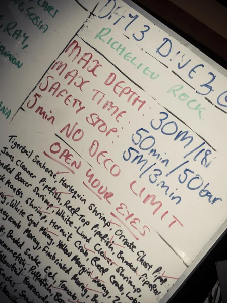 Beyaz tahta ile dalış brifingi