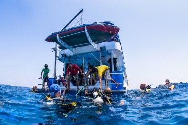 tüplü dalış okyanus yüzeyi