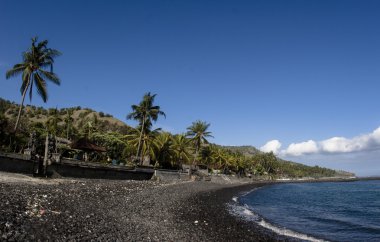 Bali tropikal siyah kum plaj