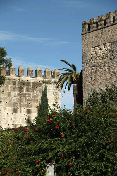 Alcázar van jerez de la frontera, Spanje — Stockfoto
