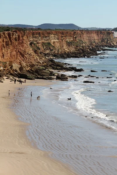 Kliffen conil kustlijn, Spanje — Stockfoto