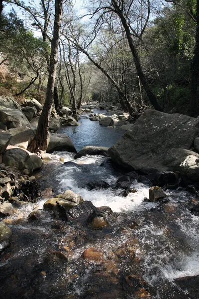 Floden av honung, natur plats. Río de la Miel — Stockfoto