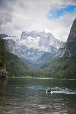 Avusturya manzarası, yüksek dağlık ve vadideki göller. Yeşil renklerle yaz doğası.