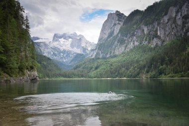Avusturya manzarası, yüksek dağlık ve vadideki göller. Yeşil renklerle yaz doğası.