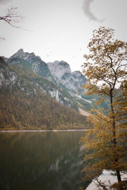 Dachstein Buzul arka planıyla Gosausee (Vorderer) gölünün şaşırtıcı yaz doğası. Doğa konseptinin güzelliği.
