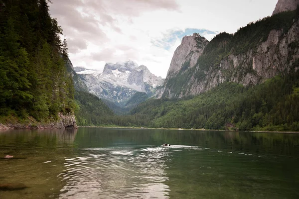 Avusturya manzarası, yüksek dağlık ve vadideki göller. Yeşil renklerle yaz doğası.