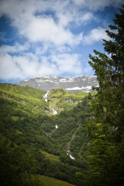 Avusturya manzarası, yüksek dağlık ve vadideki göller. Yeşil renklerle yaz doğası.