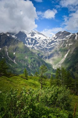 Avusturya manzarası, yüksek dağlık ve vadideki göller. Yeşil renklerle yaz doğası.