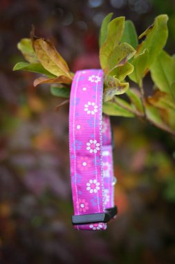 Her köpek için güzel bir tasma. Herkes çok yakışmış.!