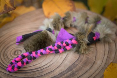 Köpek için uzun yün oyuncaklar. Her kedi ve köpeğe uygun yumuşak bir oyuncak.