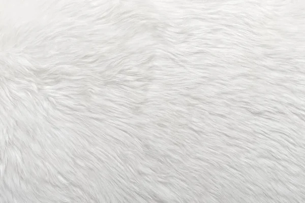 Textura Fundo Pele Carneiro Branco — Fotografia de Stock