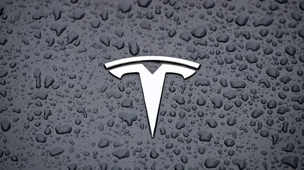 Neu Ulm Baviera Alemanha Maio 2021 Fechar Logotipo Carro Tesla — Fotografia de Stock