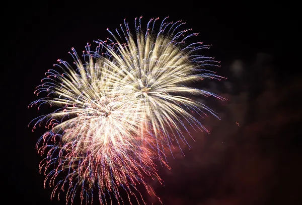 Los fuegos artificiales — Foto de Stock