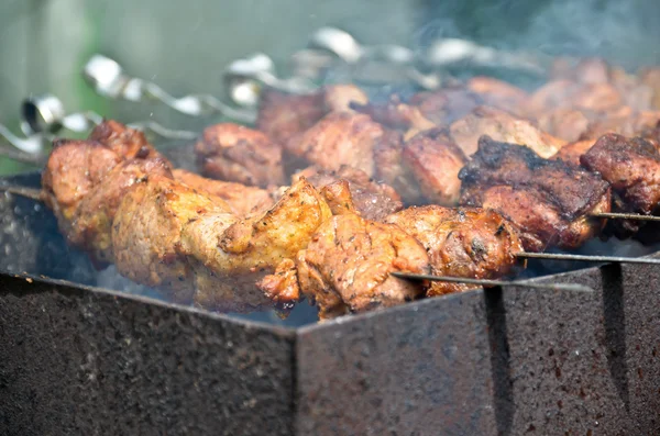 Kebab shashlik — Foto de Stock