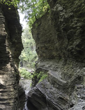Watkins Glen