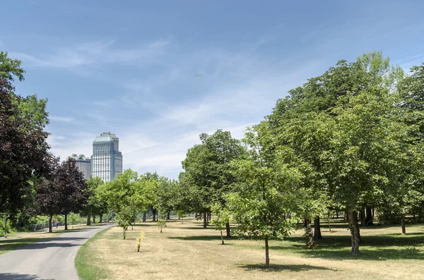 Goat Island Park — Stock Photo, Image