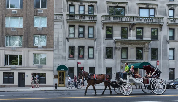 Chariot tiré par des chevaux — Photo