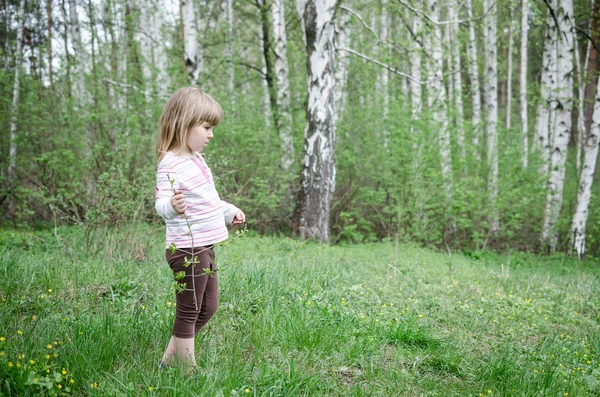 Liten flicka i skogen — Stockfoto