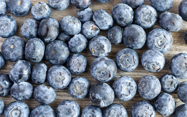 Blueberries — Stock Photo, Image