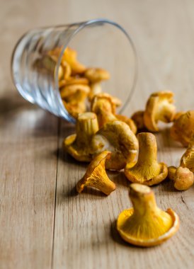 taze chanterelles