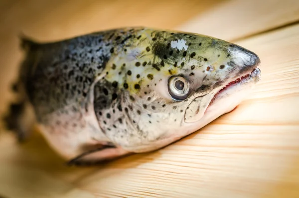 Atlantic Salmon whole fish — Stock Photo, Image