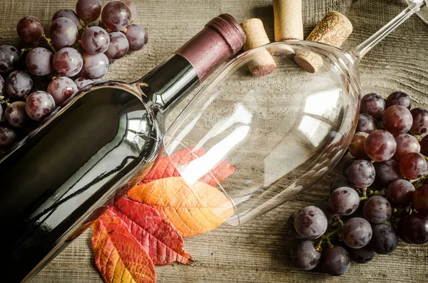 Red wine — Stock Photo, Image