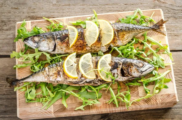 taze roka ile ızgara uskumru