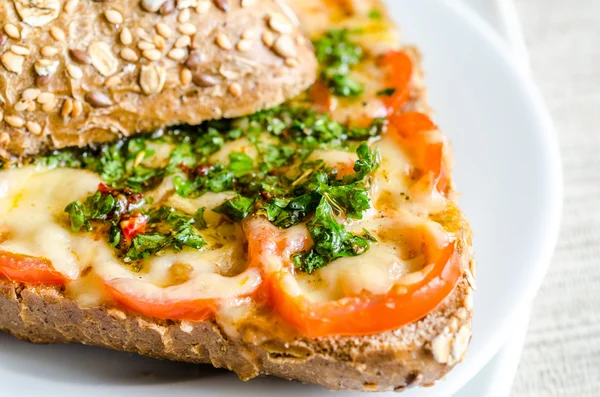 Sandwich with melted cheese and tomatoes — Stock Photo, Image