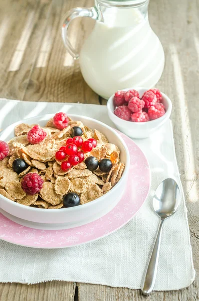 Täysjyvägranola maidon ja tuoreiden marjojen kanssa — kuvapankkivalokuva