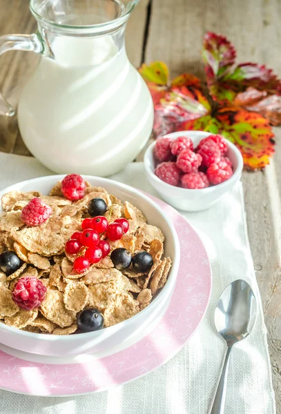 Wholegrain granola with milk and fresh berries — Stock Photo, Image