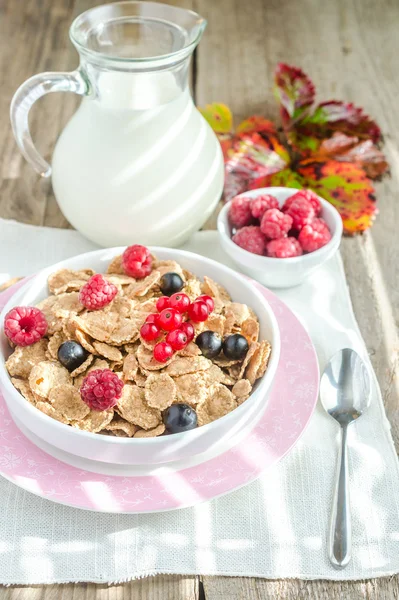 Wholegrain granola with milk and fresh berries — Stock Photo, Image